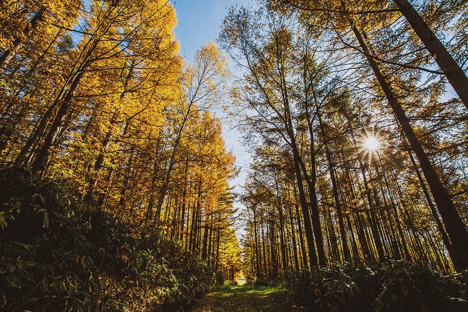 home_10_autumn2