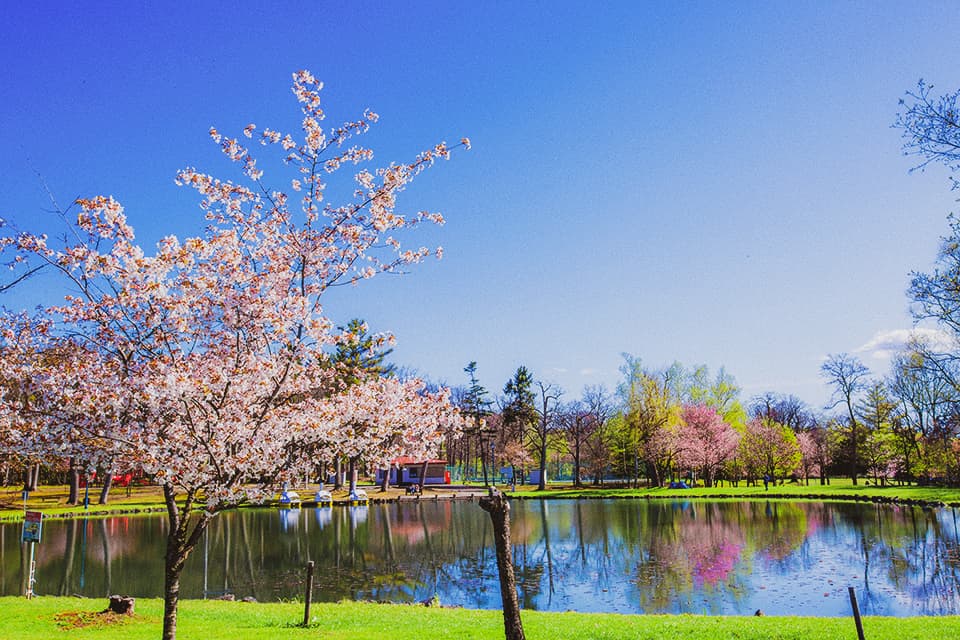 home_4_spring1