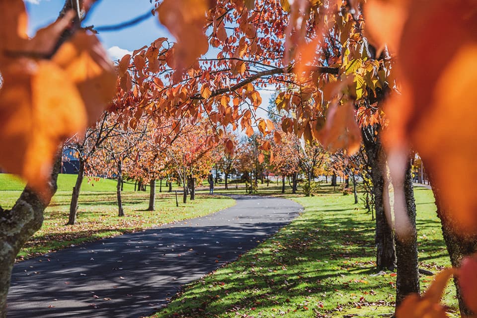 home_6_autumn1